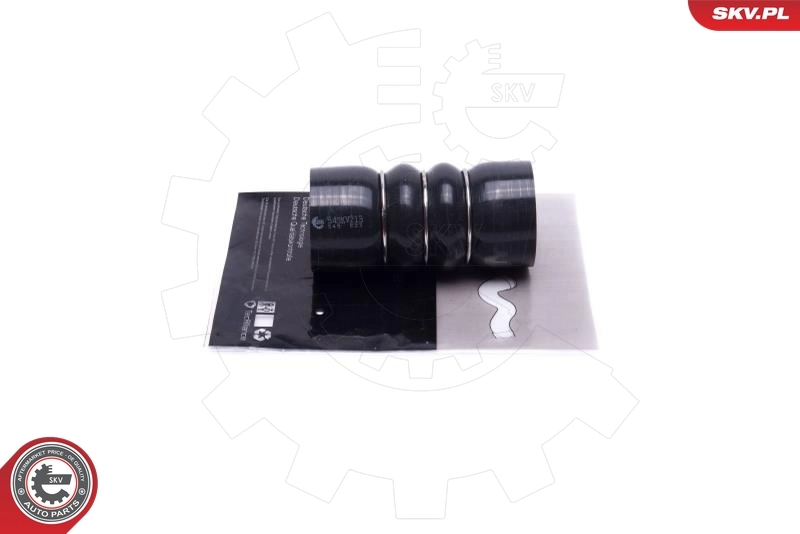 Charge Air Hose 54SKV213