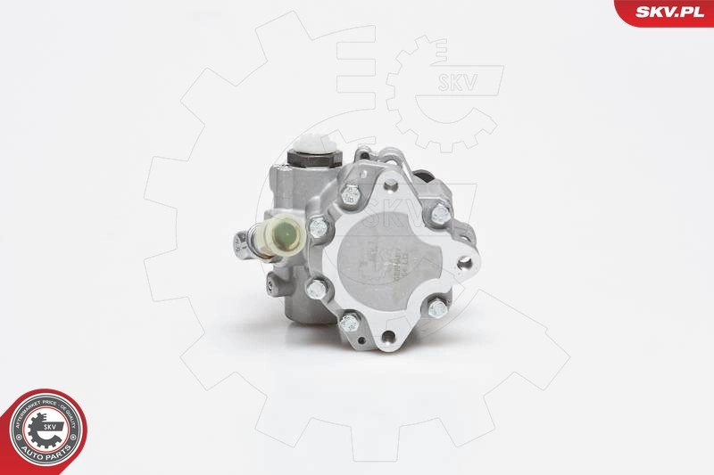 Hydraulic Pump, steering 10SKV014