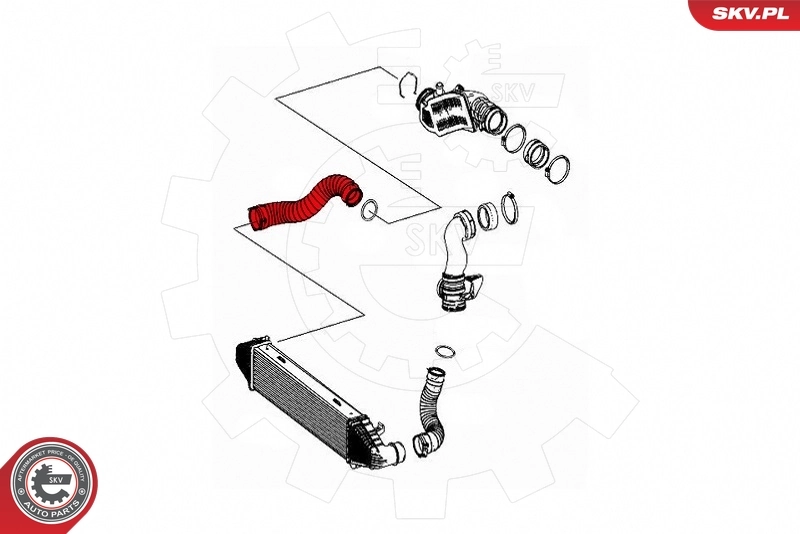Charge Air Hose 43SKV336