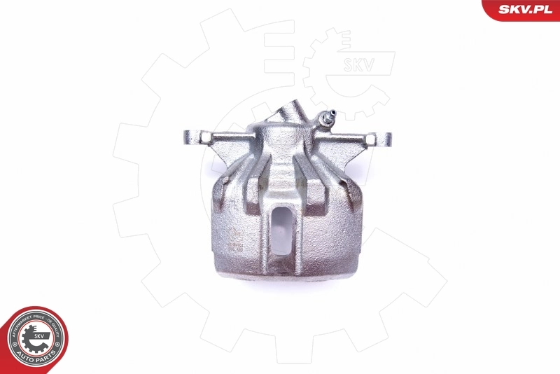 Brake Caliper 42SKV701
