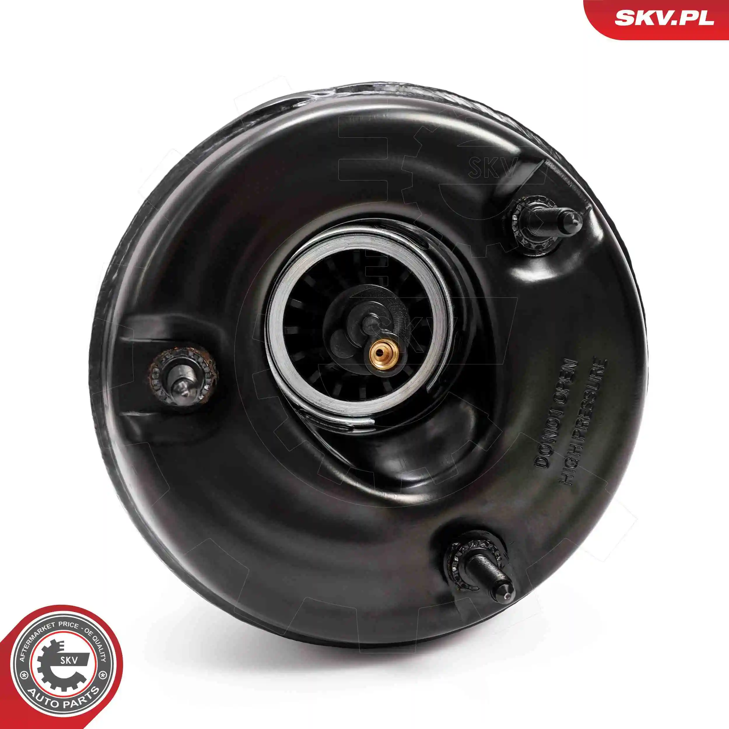 Air Suspension Strut 58SKV722