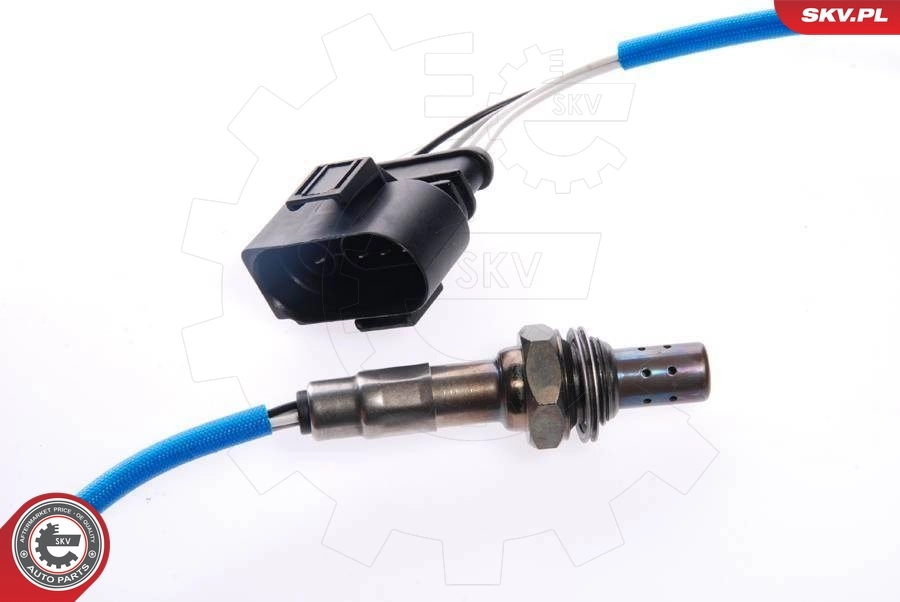 Oxygen Sensor 09SKV079