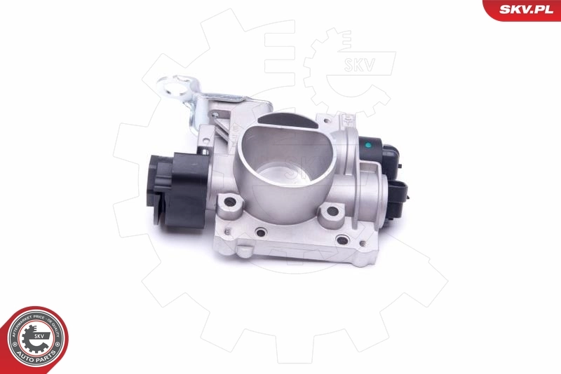 Throttle Body 12SKV081