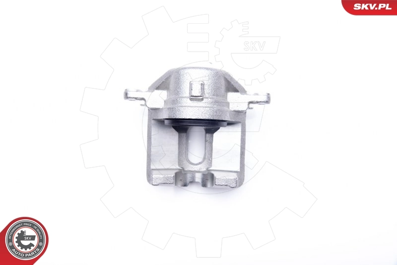 kaliper 34SKV842