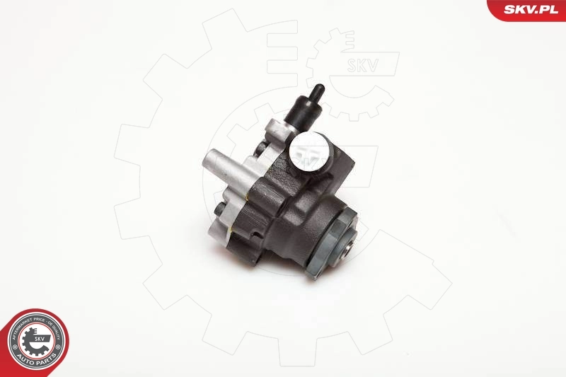 Hydraulic Pump, steering 10SKV094