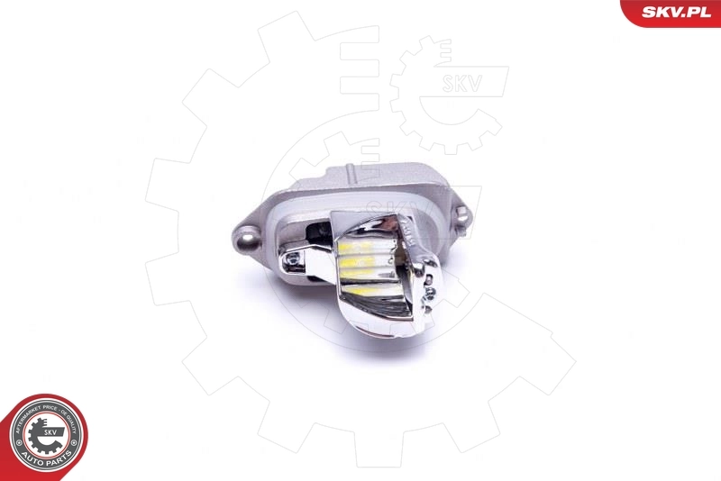 ESEN SKV 59SKV137 Control Unit, dynamic bending light