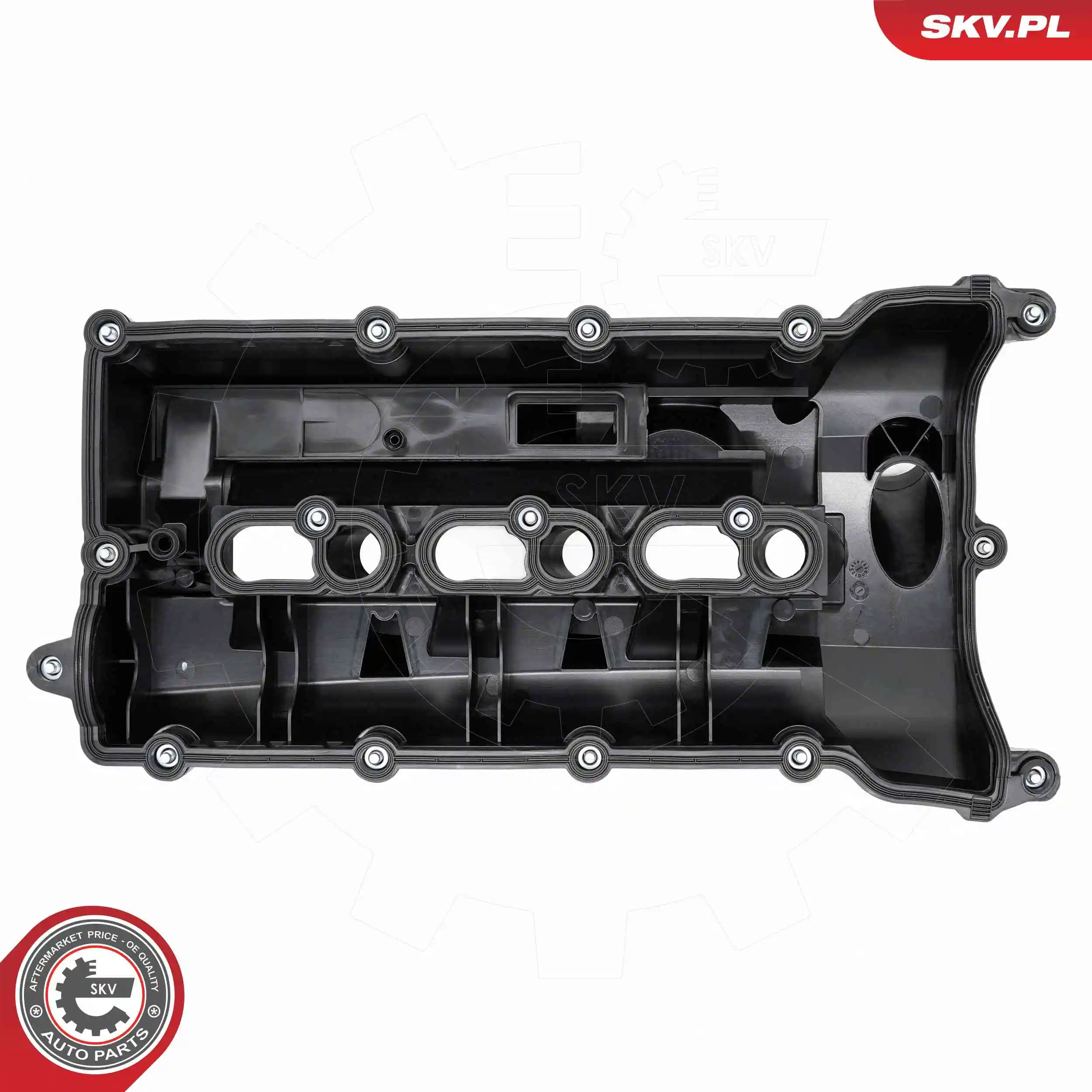 Cylinder Head Cover 48SKV113