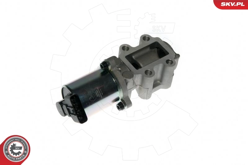 EGR Valve 14SKV088