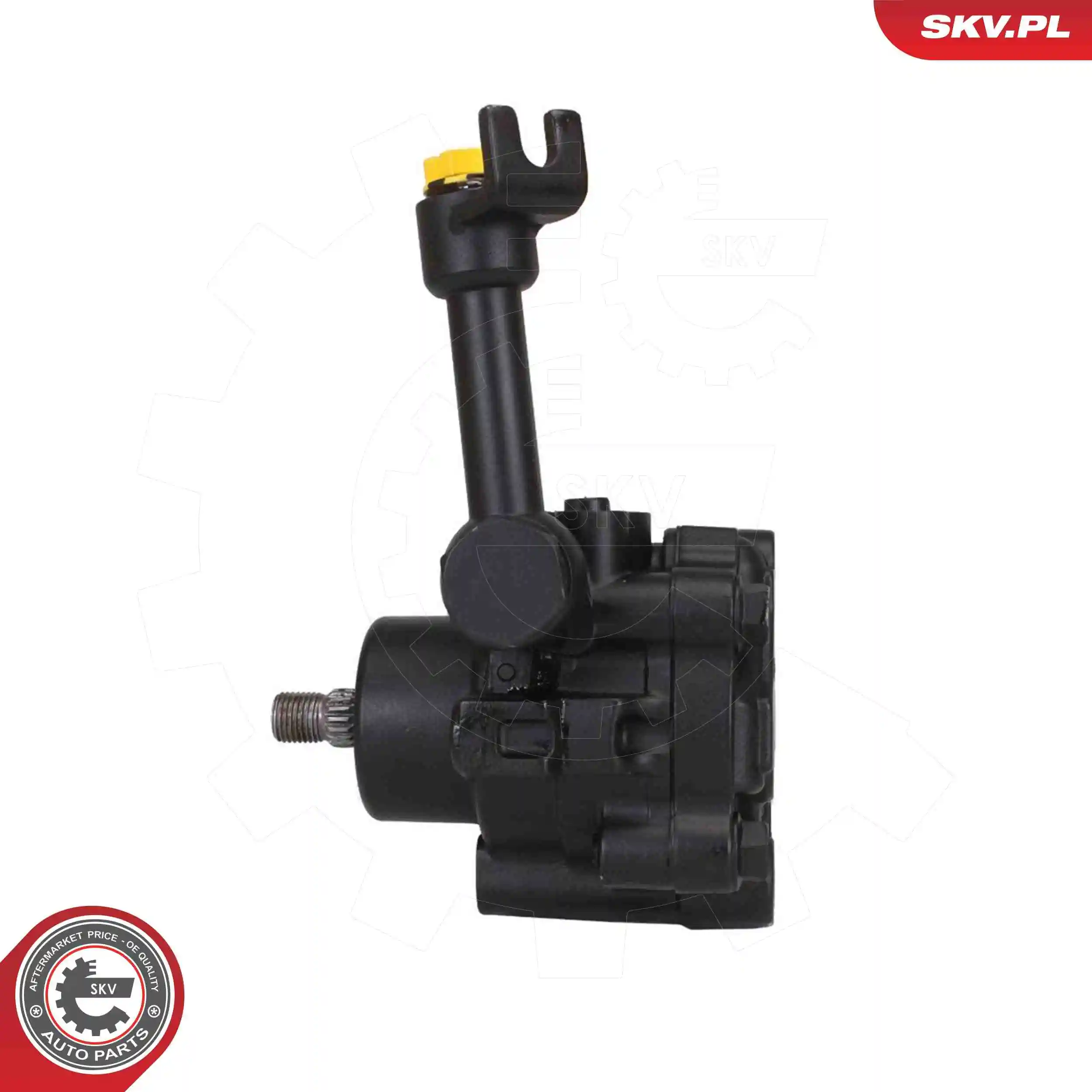 Hydraulic Pump, steering 10SKV328