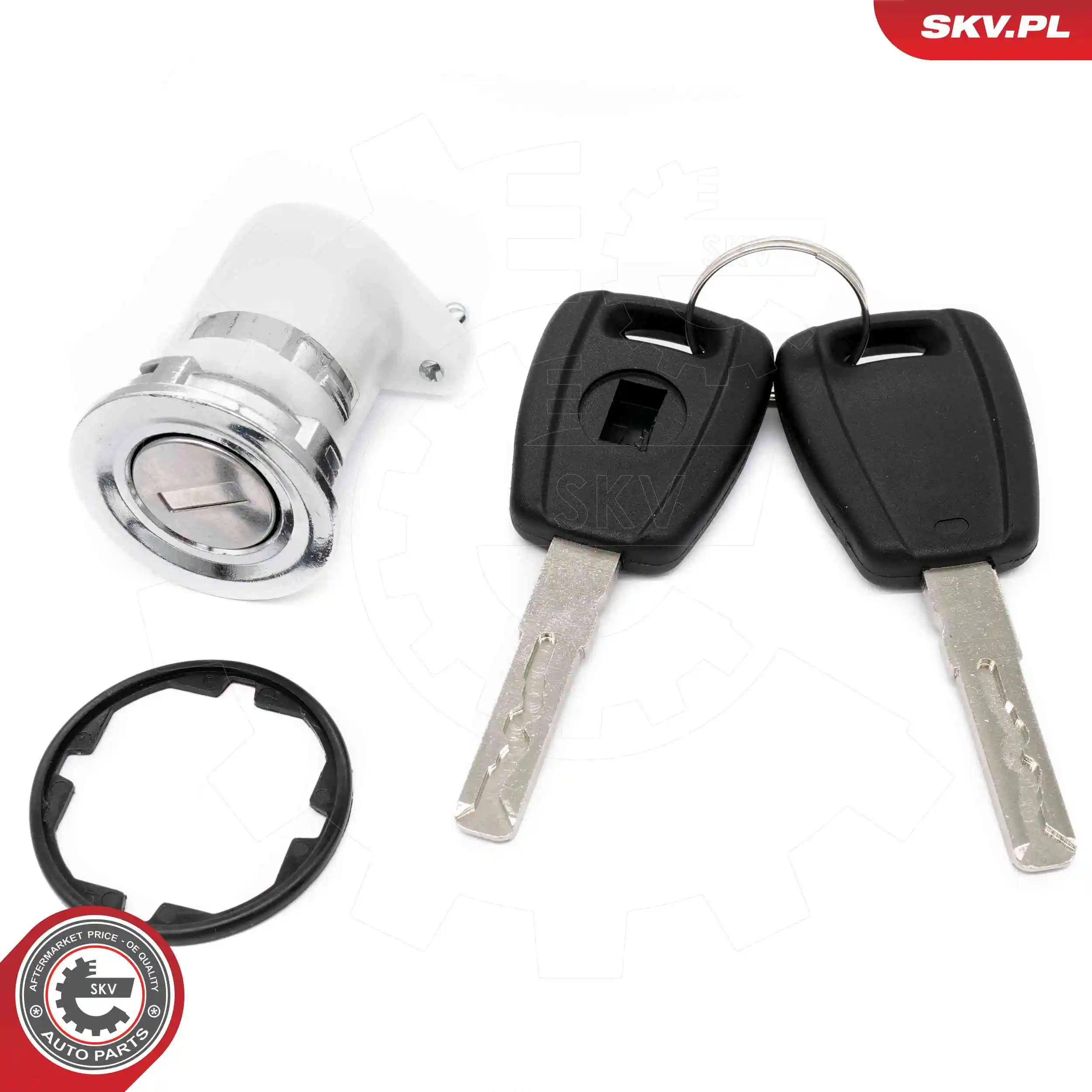 Lock Cylinder 65SKV542