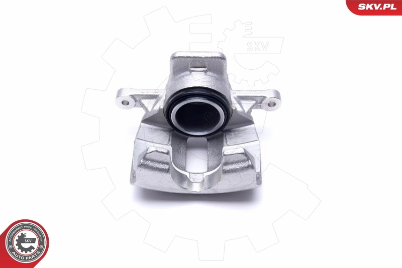 Brake Caliper 55SKV942