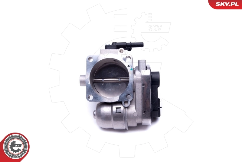 Throttle Body 12SKV079