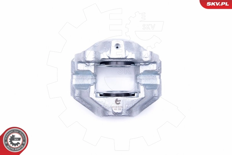 Brake Caliper 45SKV251