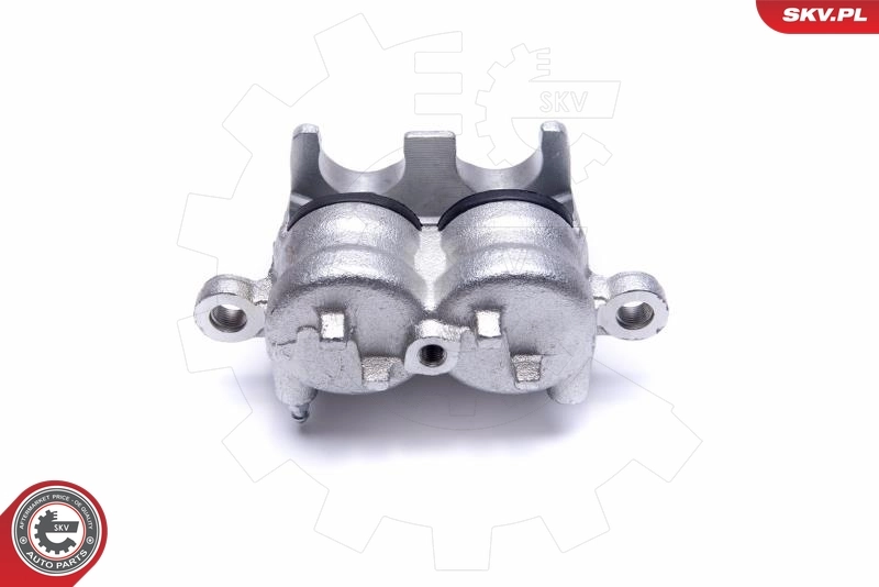 Brake Caliper 50SKV911
