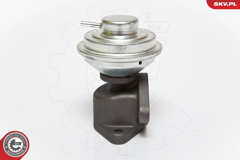 EGR Valve 14SKV052