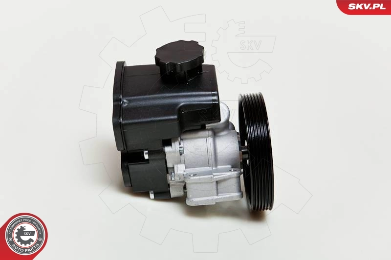 Hydraulic Pump, steering 10SKV046