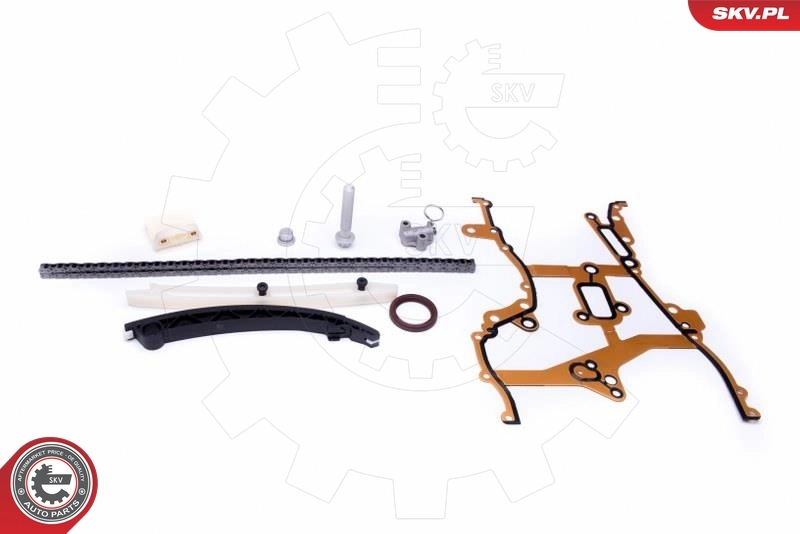 Timing Chain Kit 21SKV238