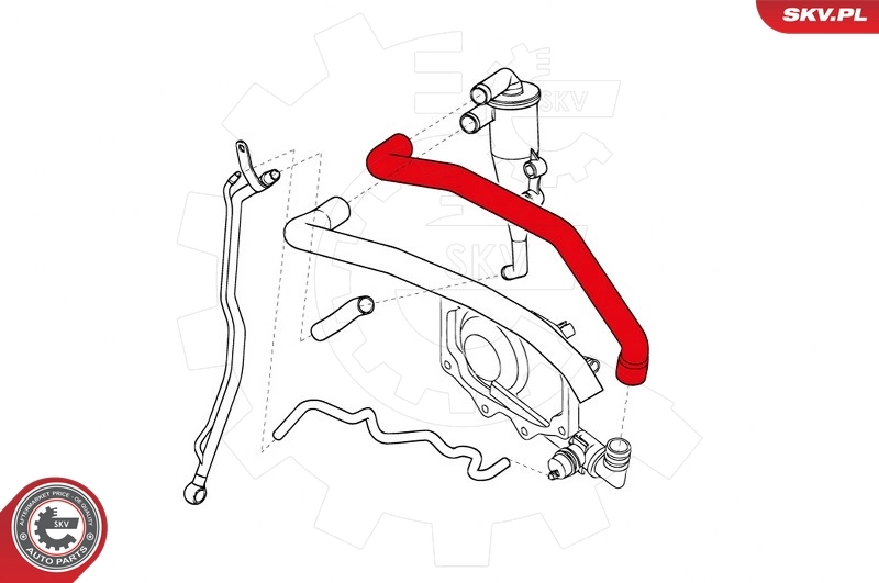 Hose, crankcase ventilation 31SKV134