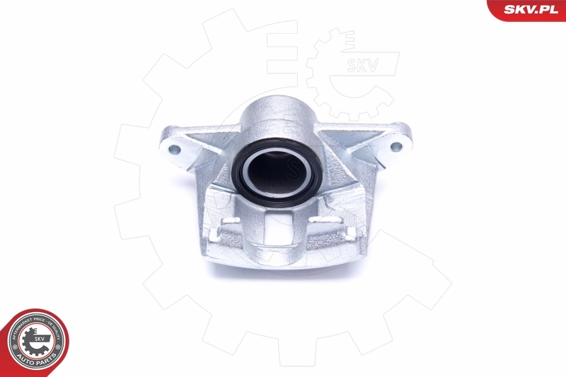 Brake Caliper 42SKV922