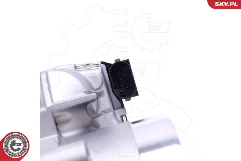 Throttle Body 12SKV109