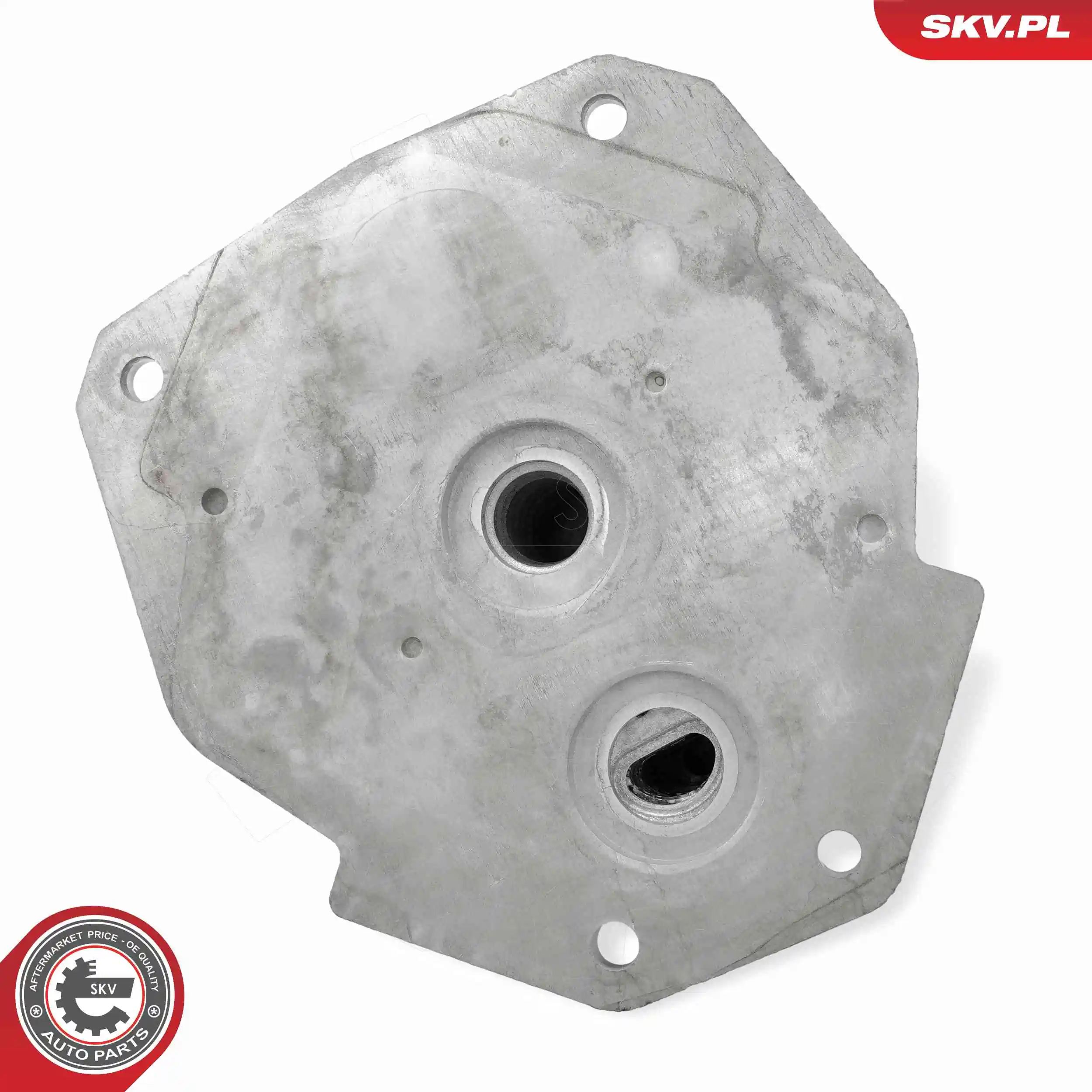 Oil Cooler, engine oil 31SKV349