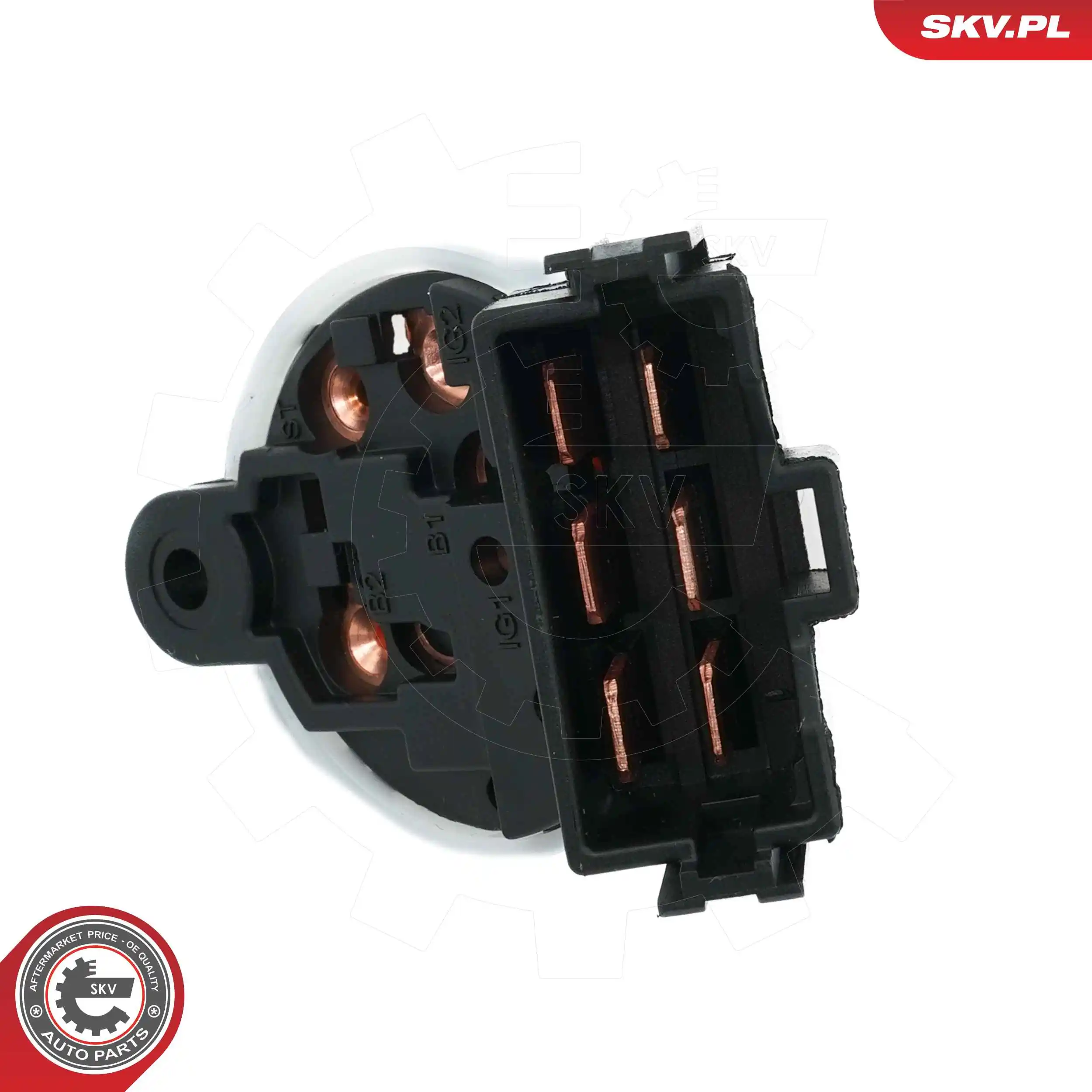 Ignition Switch 65SKV009