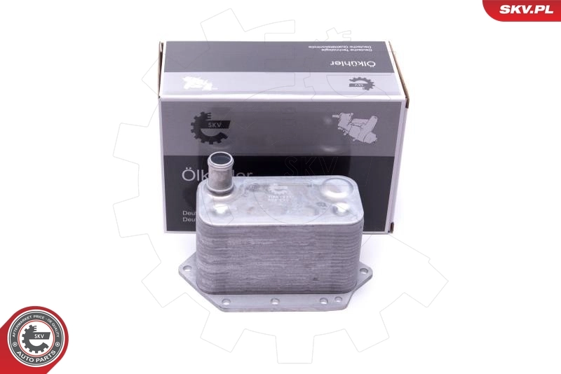 Oil Cooler, engine oil 31SKV221