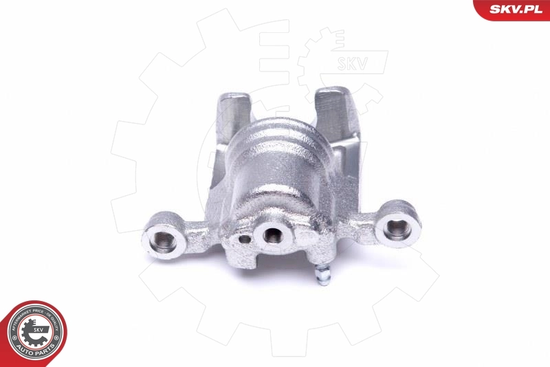 Brake Caliper 46SKV194