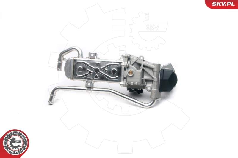 EGR Valve 14SKV096