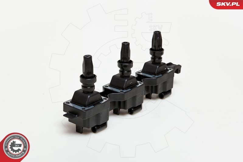 Ignition Coil 03SKV114