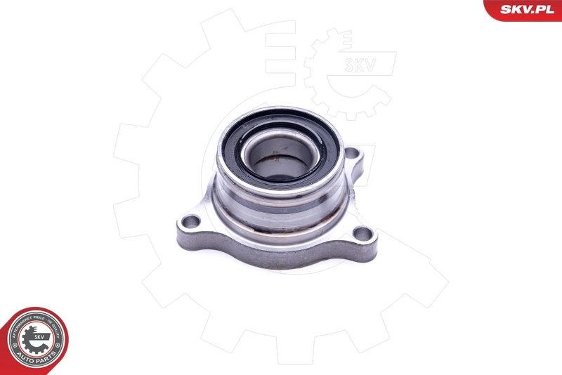 Wheel Bearing Kit 29SKV191
