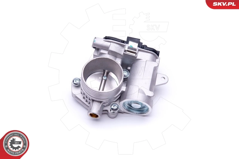 Throttle Body 12SKV073