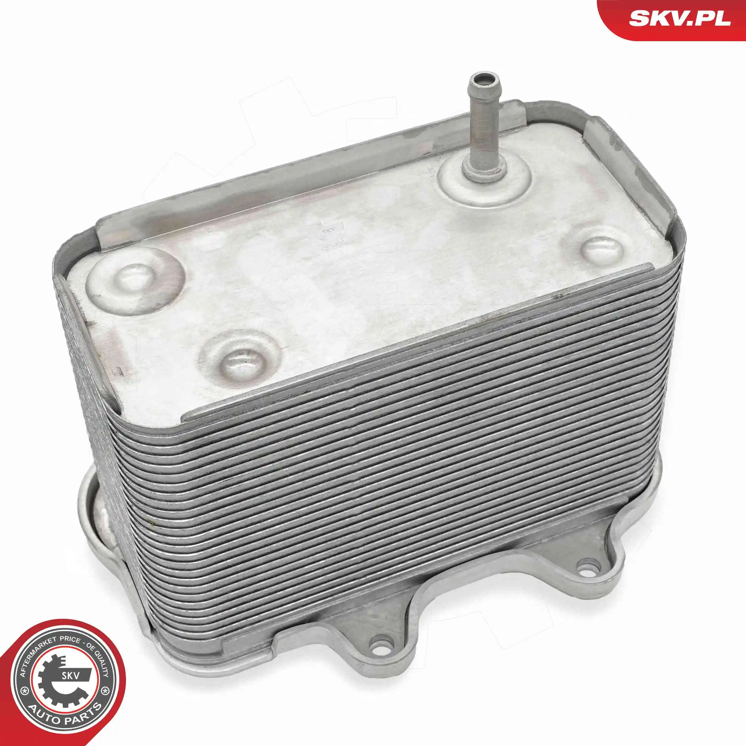 Oil Cooler, engine oil 31SKV284