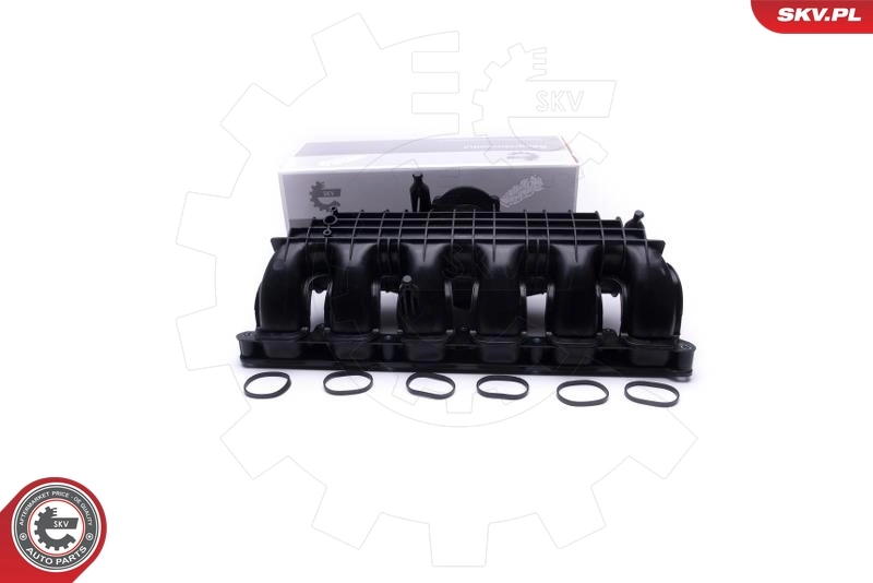 Intake Manifold Module 49SKV064