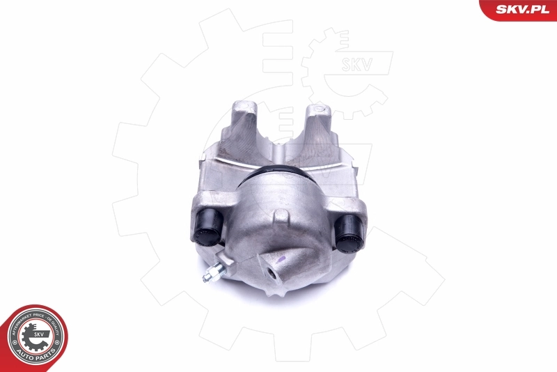 Brake Caliper 44SKV831