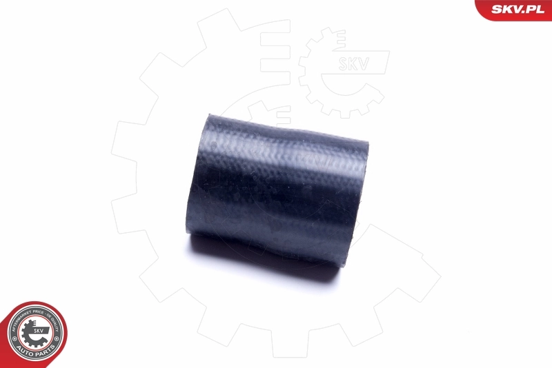 Charge Air Hose 54SKV196