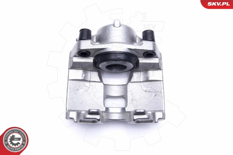 Brake Caliper 55SKV531