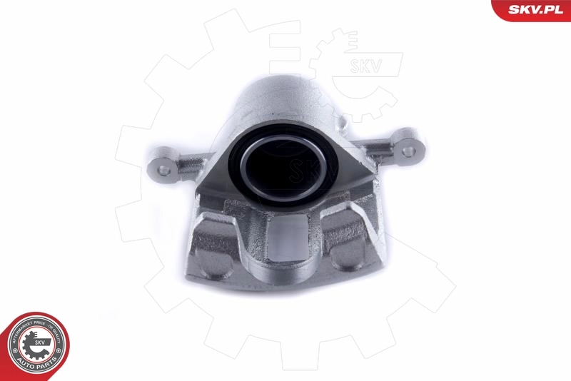 Brake Caliper 55SKV102
