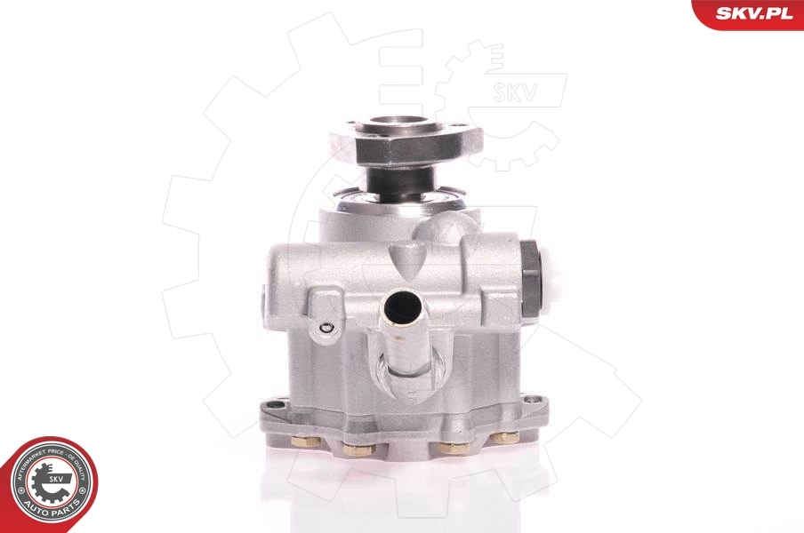 Hydraulic Pump, steering 10SKV165