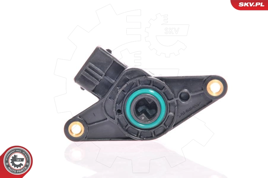 Sensor, throttle position 17SKV008