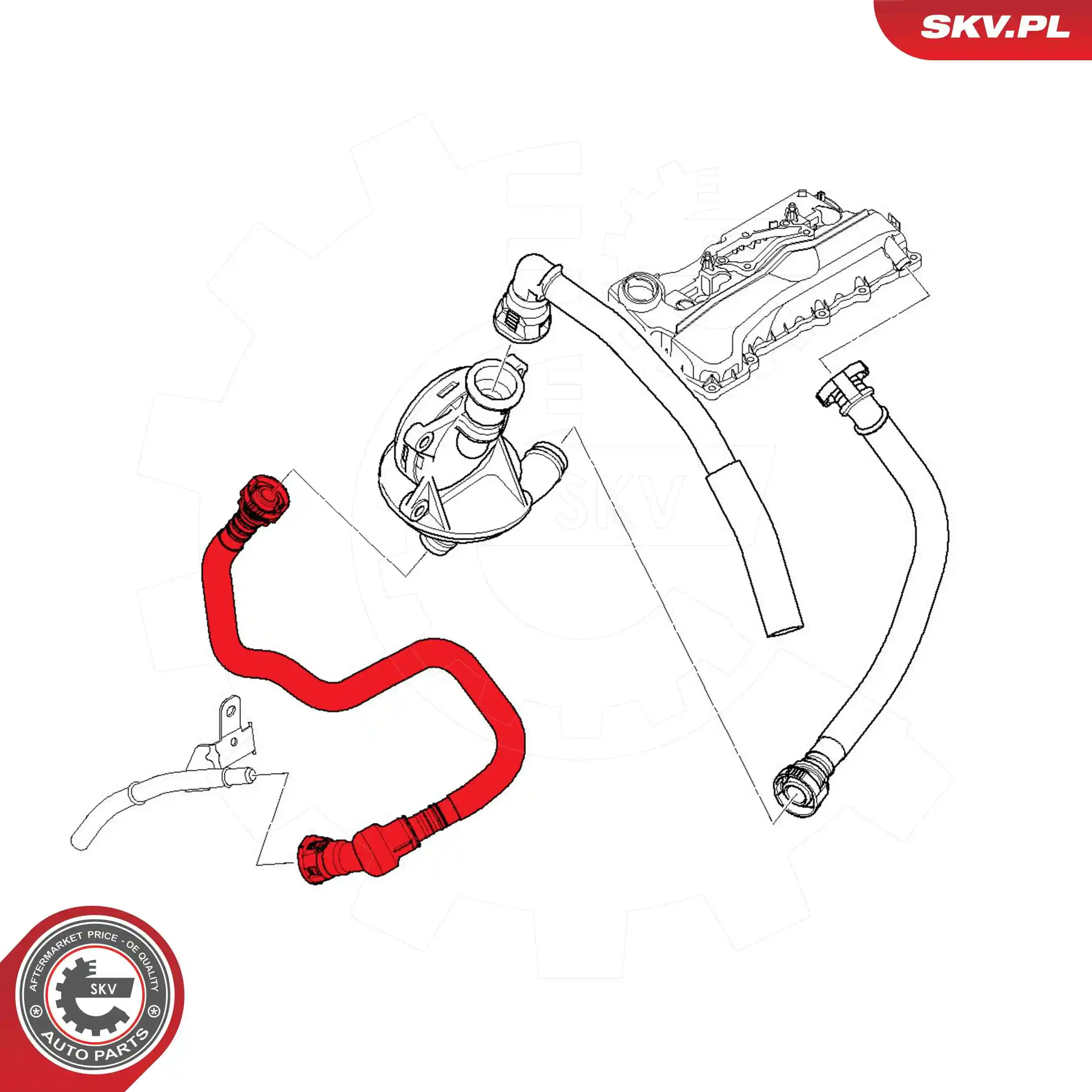 Hose, crankcase ventilation 54SKV754