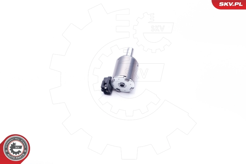 Control Valve, camshaft adjustment 39SKV027