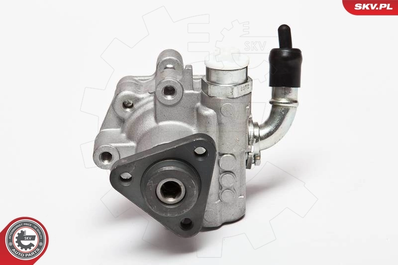 Hydraulic Pump, steering 10SKV075