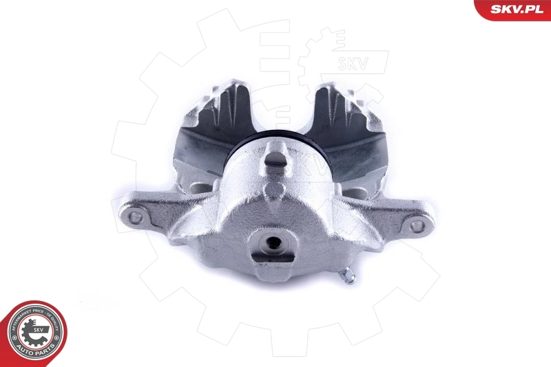 Brake Caliper 55SKV171