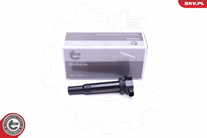 Ignition Coil 03SKV315