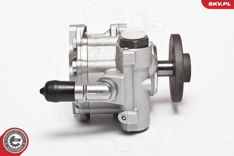 Hydraulic Pump, steering 10SKV123