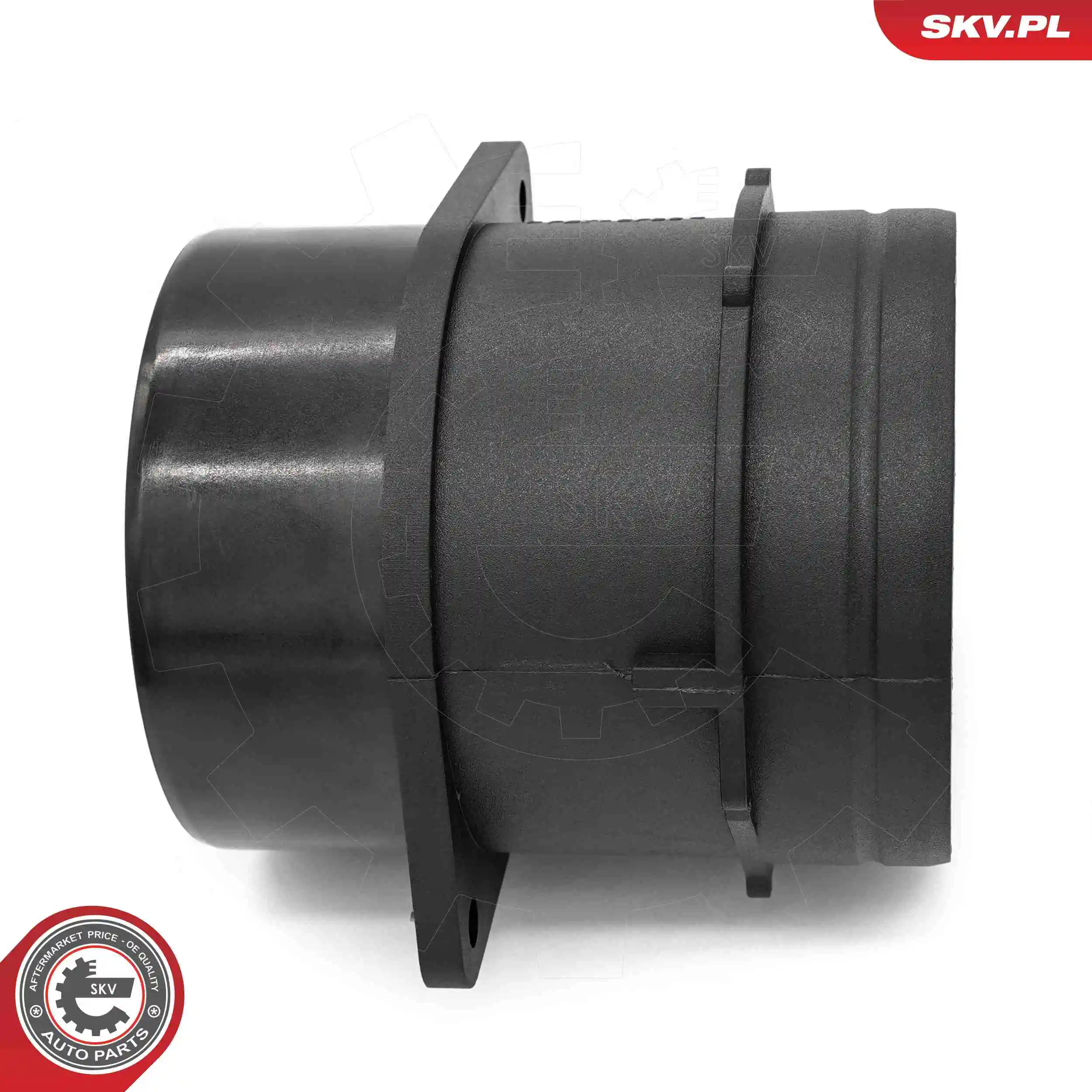 Mass Air Flow Sensor 07SKV206