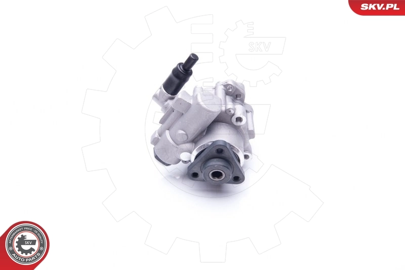 Hydraulic Pump, steering 10SKV196