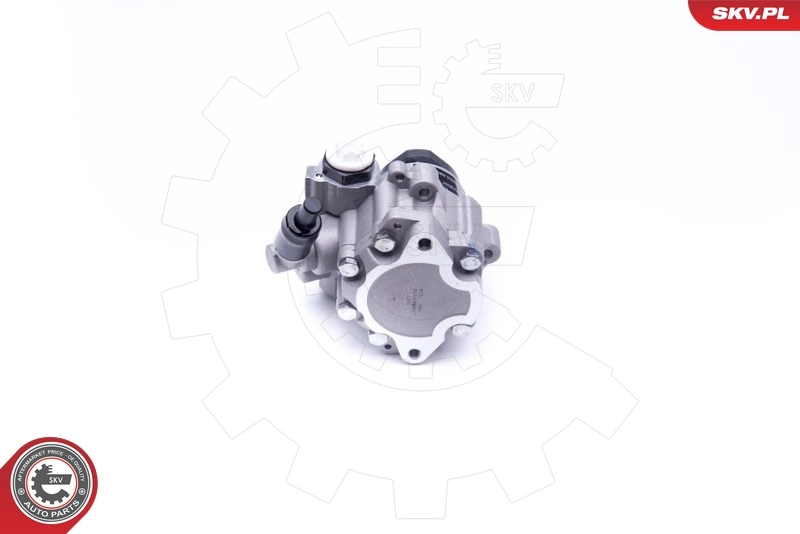 Hydraulic Pump, steering 10SKV172