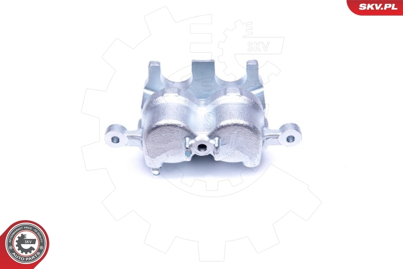 Brake Caliper 44SKV111